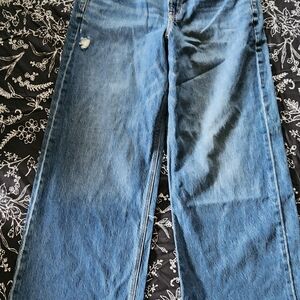 American Eagle Outfitters Blue Flare Jeans